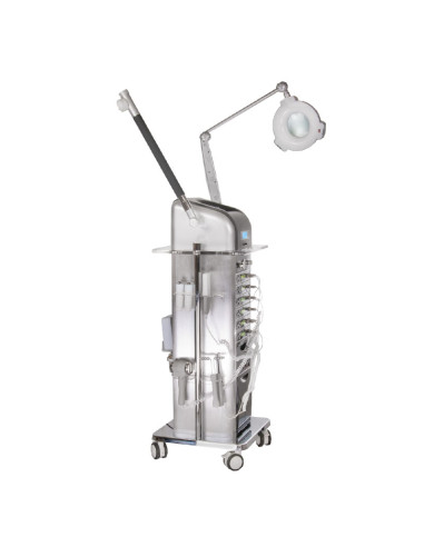 BR-8800I Black 17-in-1 Multifunction Beauty System | Bella Furniture Ireland