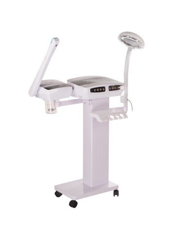 Cosmetic Beauty Station 9 Functions BR-9900E
