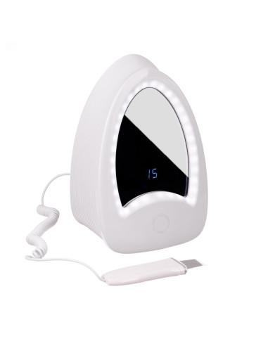 Ultrasonic Skin Scrubber BR-D212