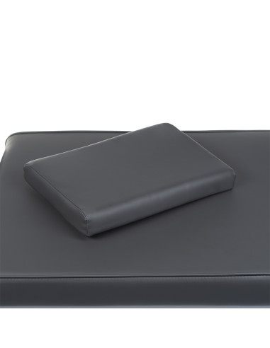 Massage and Rehabilitation Table BW-218 gray