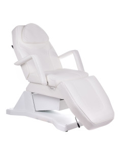 Electric Beauty Chair BW-245