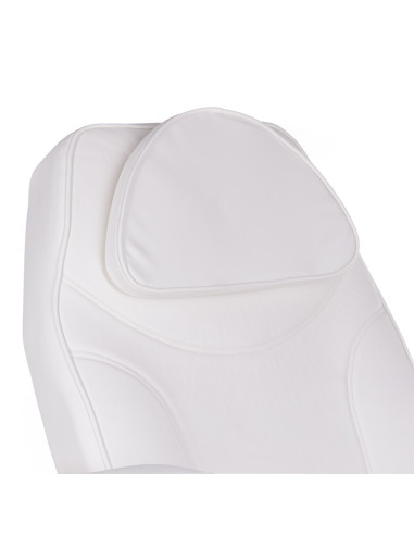 Electric Beauty Chair BW-245