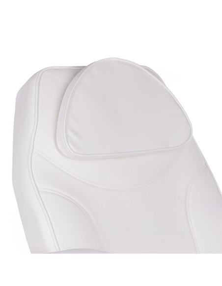 Electric Beauty Chair BW-245