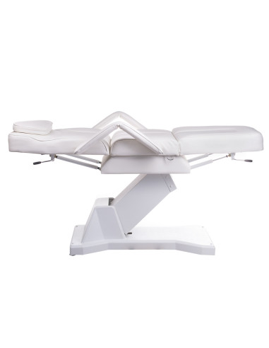 Electric Beauty Chair BW-245