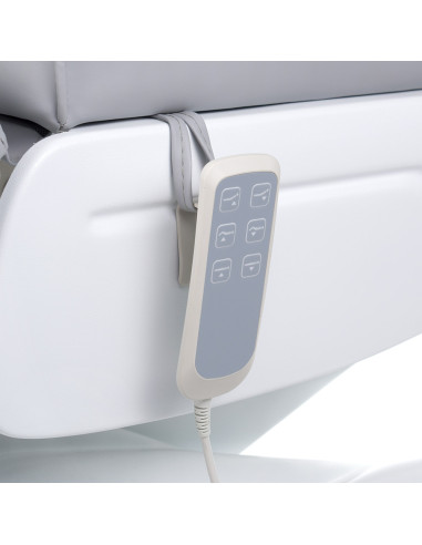 LUX BW-273B Electric Beauty Chair Light Grey