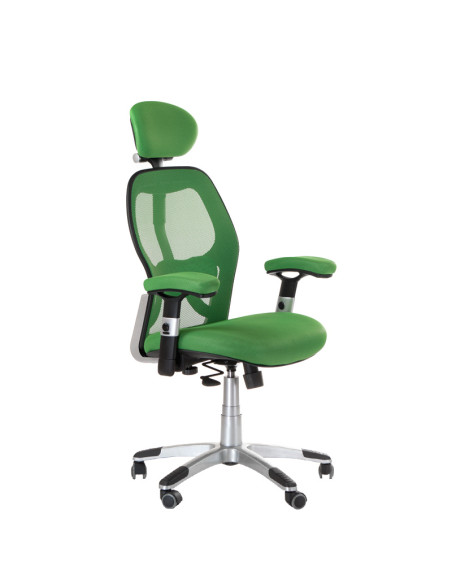 CorpoComfort BX-4144 Ergonomic Chair Green