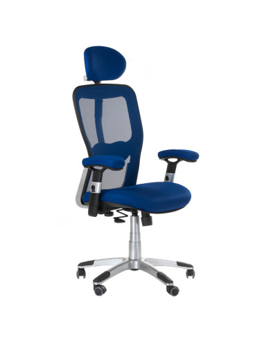 Ergonomic Chair CorpoComfort BX-4147 Blue