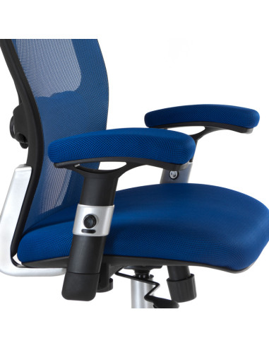 Ergonomic Chair CorpoComfort BX-4147 Blue