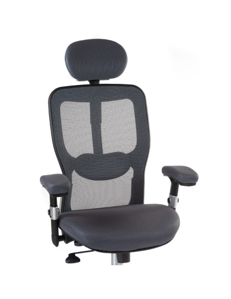 Ergonomic Chair CorpoComfort BX-4147 Grey