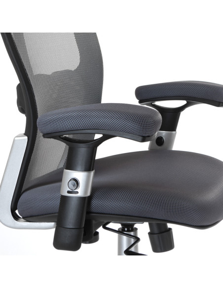 Ergonomic Chair CorpoComfort BX-4147 Grey