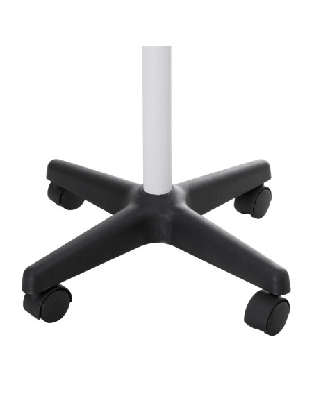 Steamer with Ozone+UV NG-FSM002