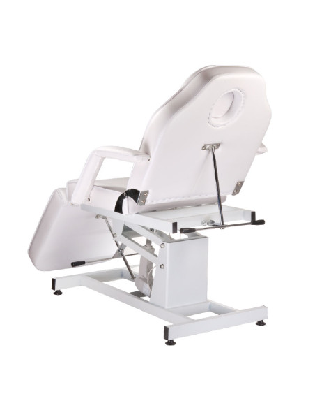 Electric Beauty Chair BD-8251 White