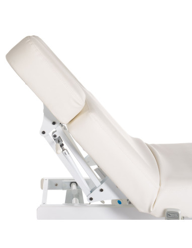 Electric SPA & Welness Couch BR-6621B