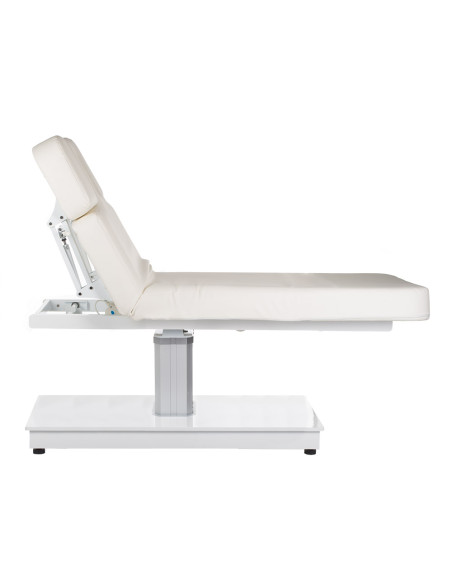 Electric SPA & Welness Couch BR-6621B