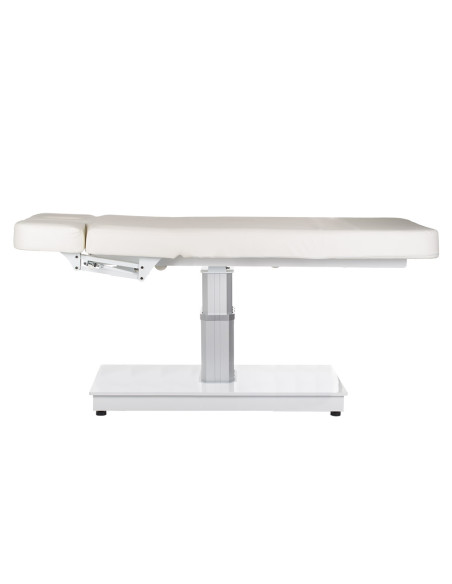 Electric SPA & Welness Couch BR-6621B