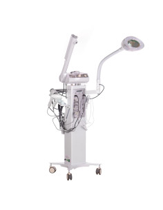 13-in-1 Cosmetic Beauty Machine BR-9901