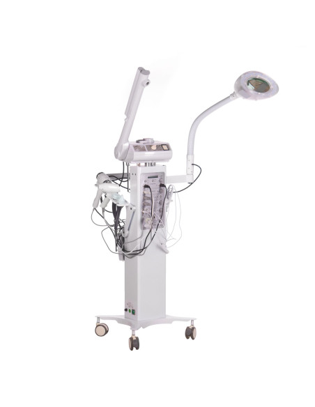 13-in-1 Cosmetic Beauty Machine BR-9901