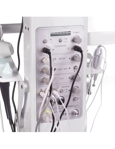 13-in-1 Cosmetic Beauty Machine BR-9901