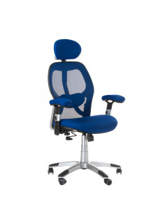 Ergonomic Chair CorpoComfort BX-4144 Blue