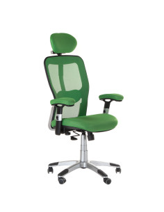 CorpoComfort BX-4147 Ergonomic Chair Green