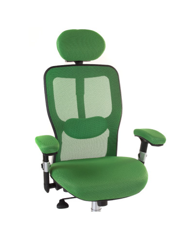 CorpoComfort BX-4147 Ergonomic Chair Green