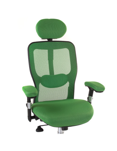 CorpoComfort BX-4147 Ergonomic Chair Green