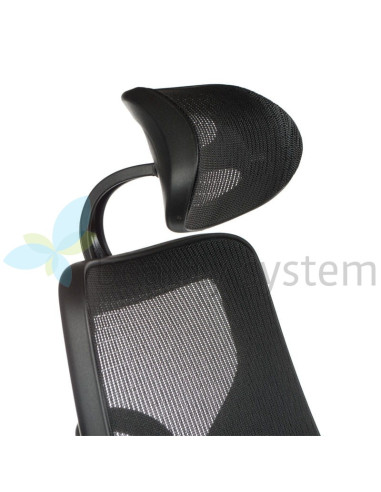 Ergonomic Chair CorpoComfort BX-W4310 Black
