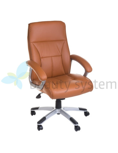 CorpoComfort BX-5085B Ergonomic Chair Brown