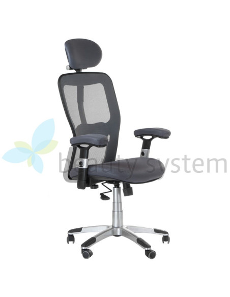 Ergonomic Chair CorpoComfort BX-4147 Grey