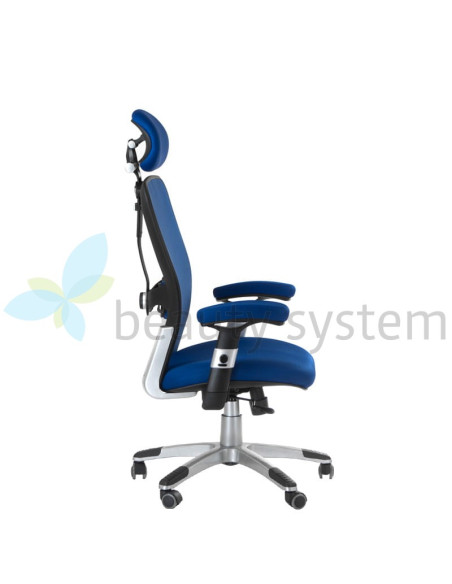 Ergonomic Chair CorpoComfort BX-4147 Blue