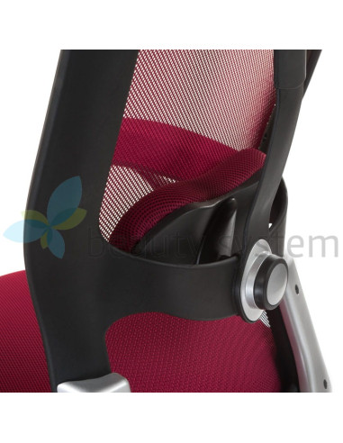 Ergonomic Chair CorpoComfort BX-4147 Red