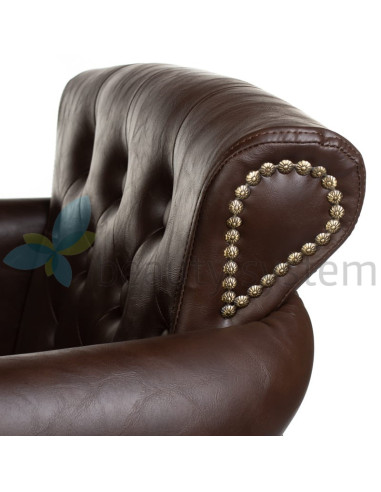 ALBERTO BH-8038 brown Styling chair