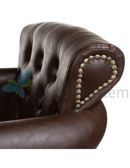 ALBERTO BH-8038 brown Styling chair