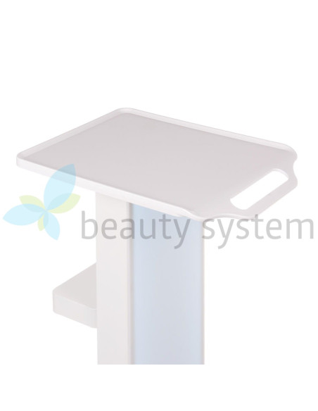 Mobile Cosmetic Cabinet BR-2211A