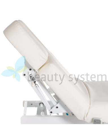 Electric SPA & Welness Couch BR-6621B