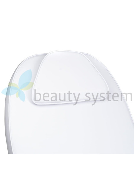 Cosmetic Massage Bed BD-8241 Pine