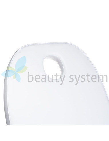 Cosmetic Massage Bed BD-8241 Pine