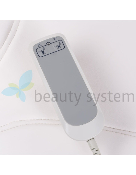 Electric Beauty Chair BW-245