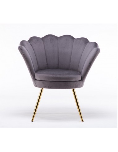 Hroove Salon Chair - Grey Velour BFHR1414