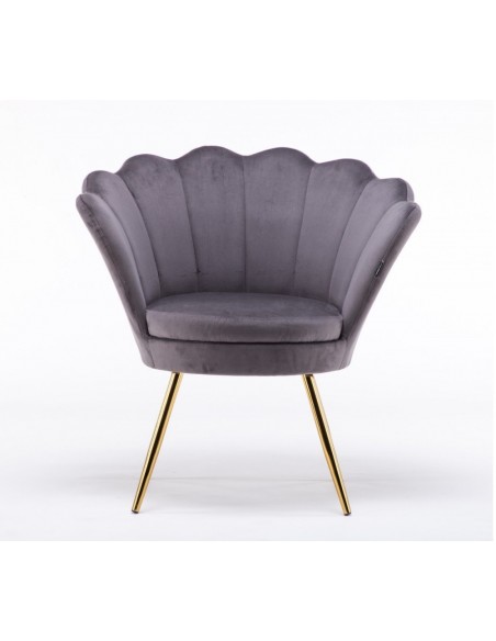 Hroove Salon Chair - Grey Velour BFHR1414