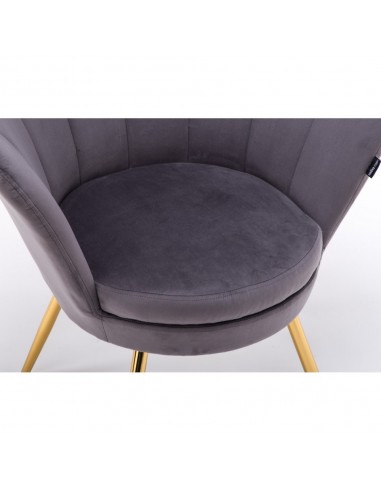Hroove Salon Chair - Grey Velour BFHR1414
