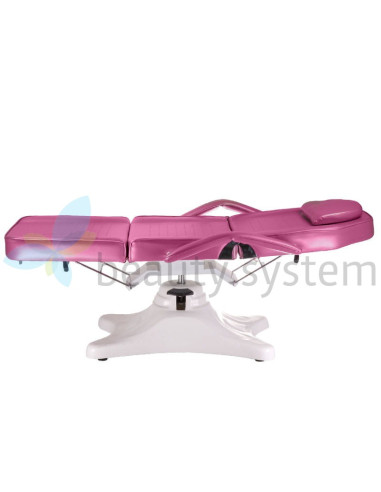 Hydraulic Beauty Chair BD-8222 Heather