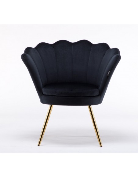 Hroove Salon Chair - Black Velour BFHR1414