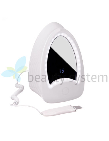 Ultrasonic Skin Scrubber BR-D212