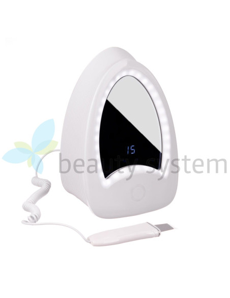 Ultrasonic Skin Scrubber BR-D212