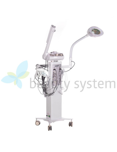 13-in-1 Cosmetic Beauty Machine BR-9901