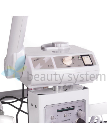 13-in-1 Cosmetic Beauty Machine BR-9901