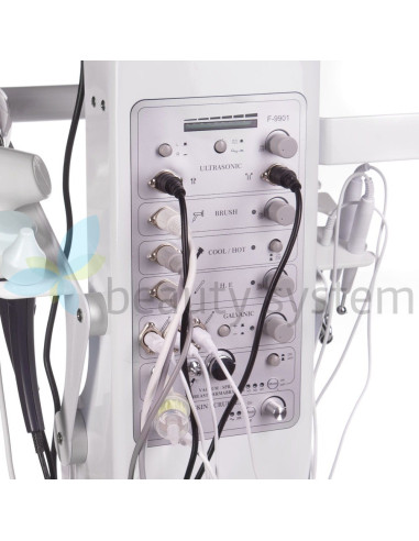 13-in-1 Cosmetic Beauty Machine BR-9901