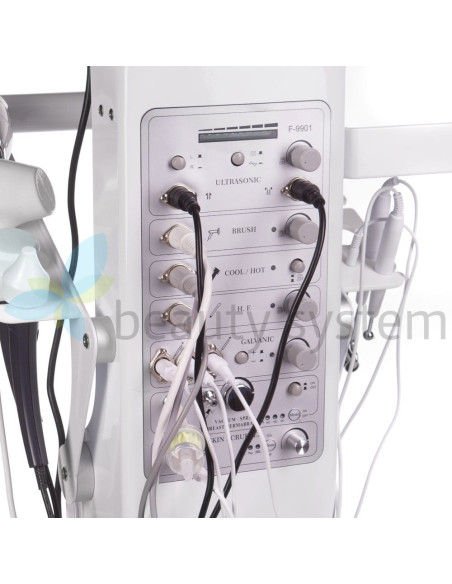 13-in-1 Cosmetic Beauty Machine BR-9901