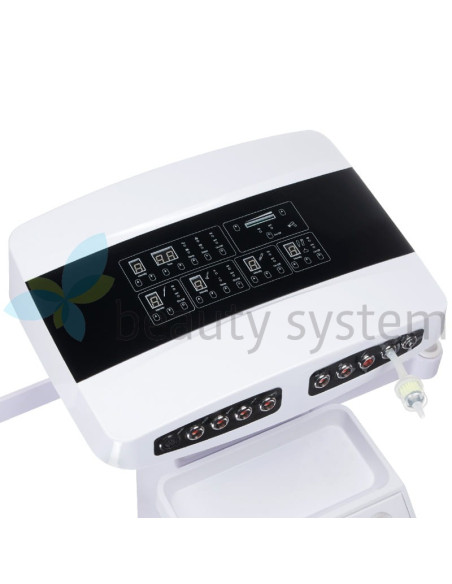 10-in-1 Beauty Multifunction Device BR-9900F